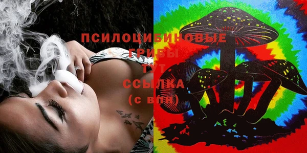 круглые Алексеевка